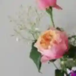 谷さとこ
