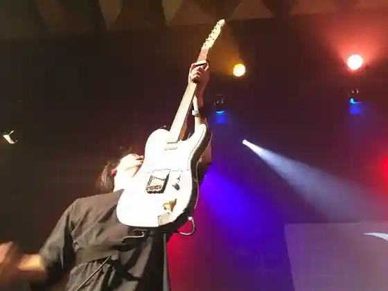 ギタリスト