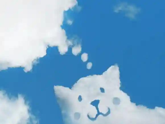 前日|イメージトレーニング